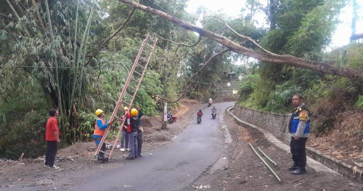 Bhabinkamtibmas Halau Pohon Tumbang