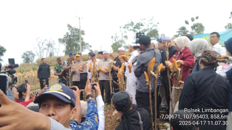 IMG-20250417-WA0112