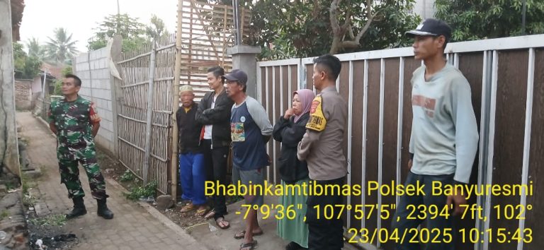 WhatsApp Image 2025-04-23 at 11.25.02